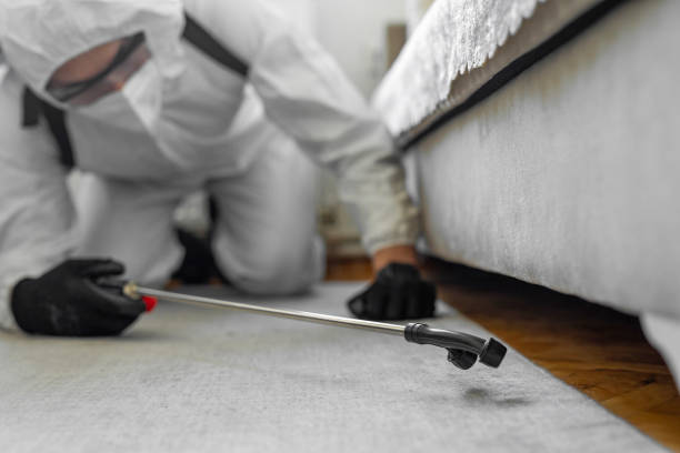 Professional Pest Control technician working in Rainbow, CA