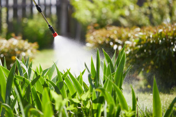 24/7 Emergency Pest Control experts in Rainbow, CA